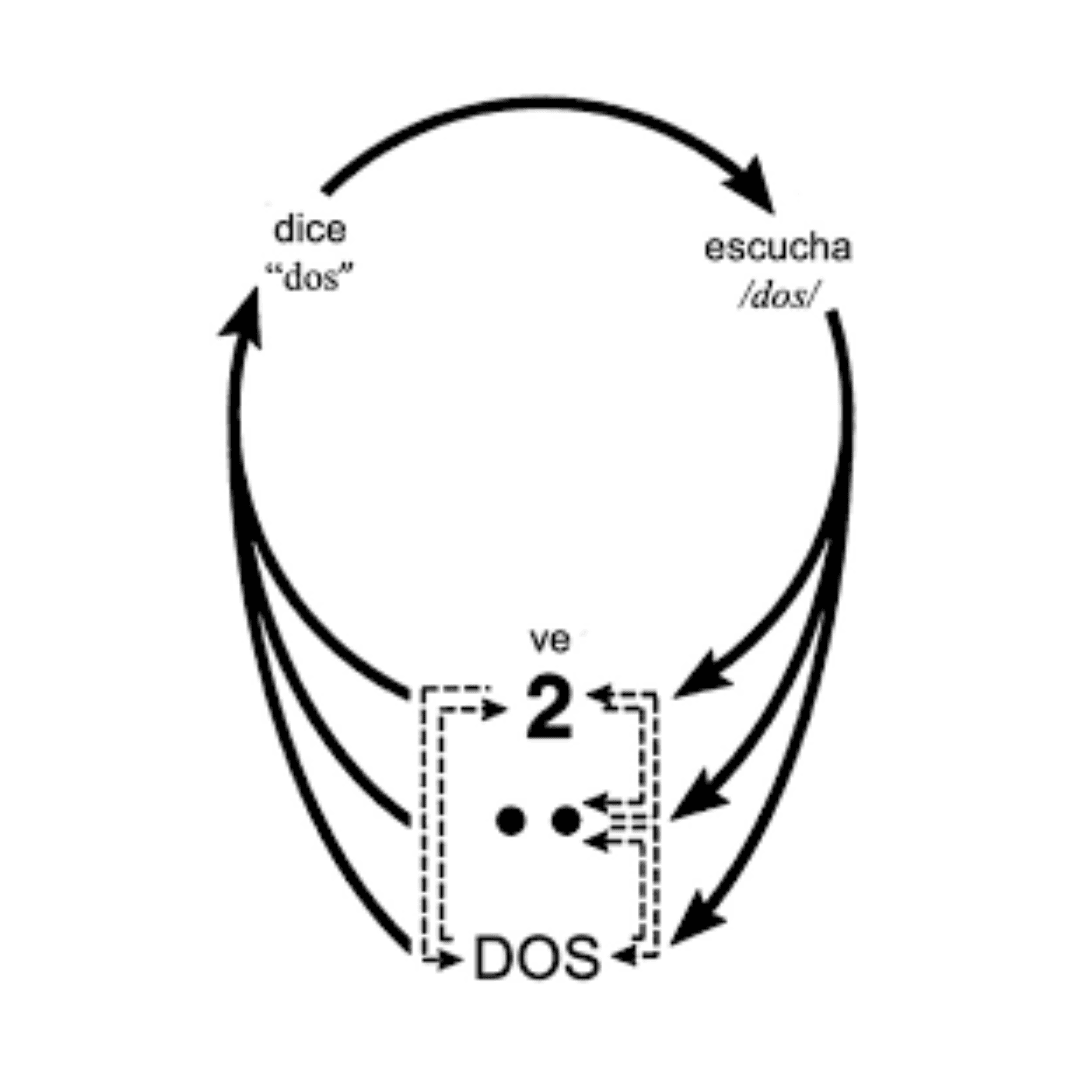 Teorias Conductuales del Lenguaje